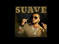 El Alfa SUAVE AUDIO