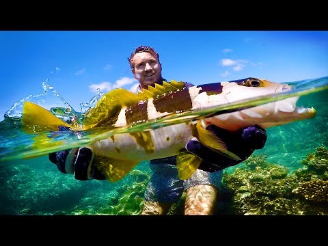 A Fisherman's Dream | Stranded Part 3