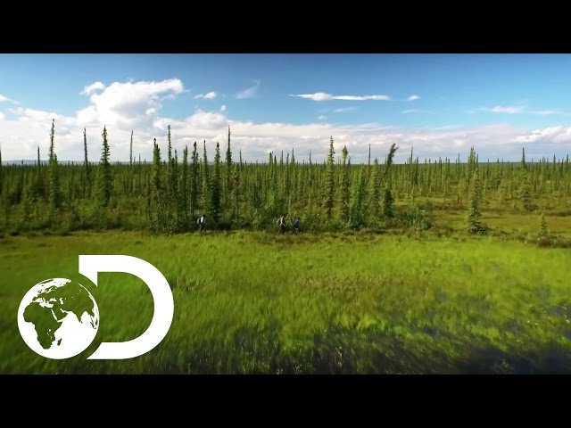 The Last Alaskans | Extended Trailer