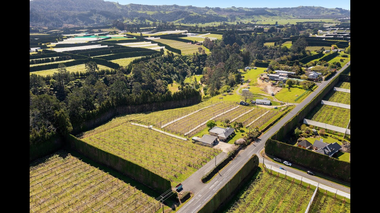 236 No 3 Road, Te Puke, Western Bay Of Plenty NZ Sotheby’s Realty