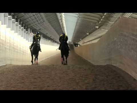 {{itemName}}_video_thumbnail