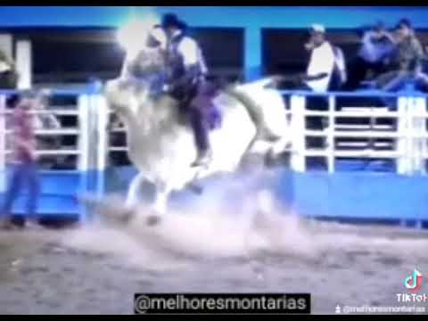 SINOVALDO CORREIA DE MELO - JABÁ (EM MEMÓRIA) - RODEIO DE LOBATO 2008