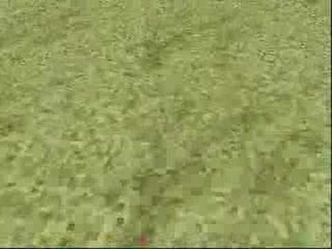 LSD - Day 001 - Dream Journal