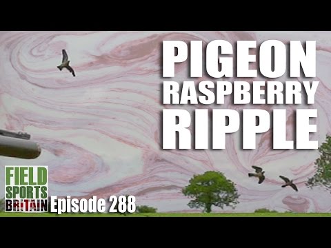 Fieldsports Britain – Pigeon Raspberry Ripple