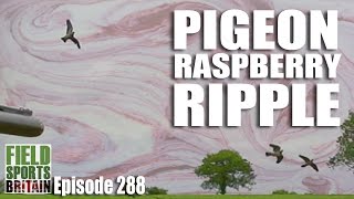 Fieldsports Britain - Pigeon Raspberry Ripple