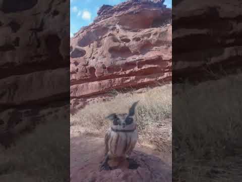 Lechuza_viajera_fieltro_cañadon_escondido #artetextil #needlefelting#lechuza #viajes#chocon#neuquen