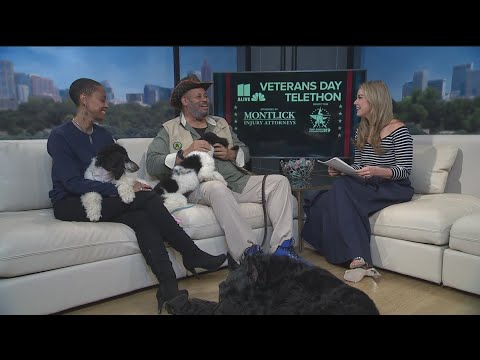 Top Dogg K9 Foundation introduces us to service dogs serving veterans! - YouTube