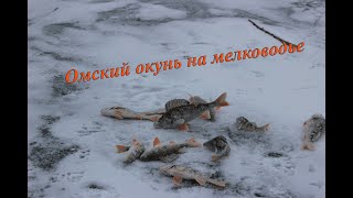 Омск отчет о рыбалке 2019