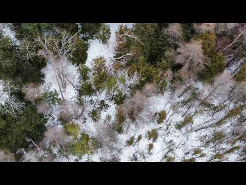 Tomries:- synthstrom deluge - elektron analog four - drumbrute impact - : live session