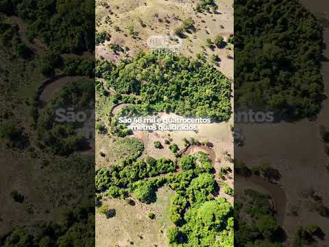 CHÁCARA EXCLUSIVA – CALDAZINHA/GO