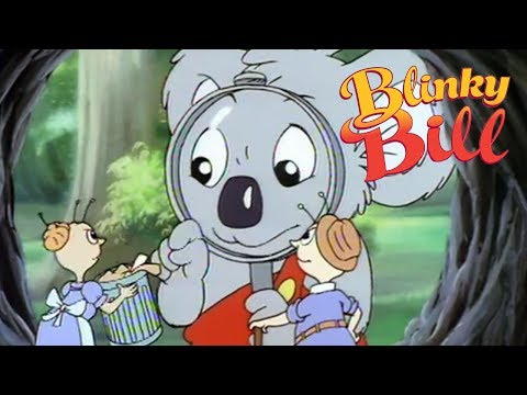 Blinky Bill - Episode 27 - Blinky Meets Mr. Echidna