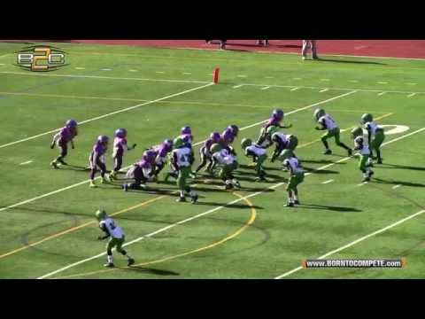 B2C: #1 Tucker Lions vs #2 Atlanta Vikings - 8U Division (B2C Championship)