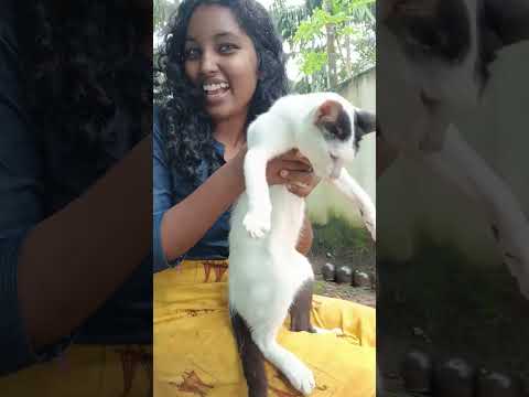 mayo mayo 😍😍😍😍