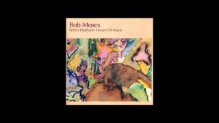 Trevor: Bob Moses from the album When Elephants Dream Of Music