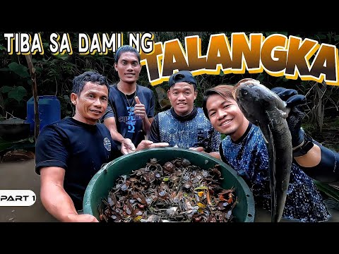 P1-TIBA SA DAMI NG TALANGKA - EP1023