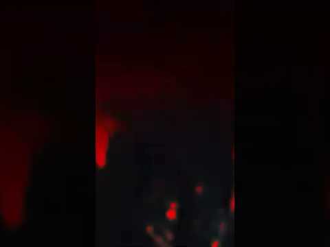 Spek x Lil Kina x KaeGwuap - Zoo Gang (Dir. Lostboi)