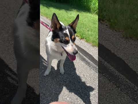 6/6/24 Rosalie and Carson