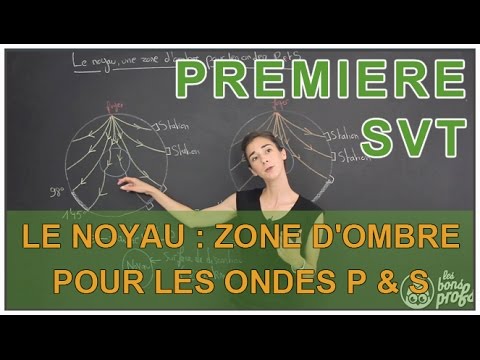 The nucleus, a shadow zone for S and P waves - SVT - 1st - Les Bons Profs