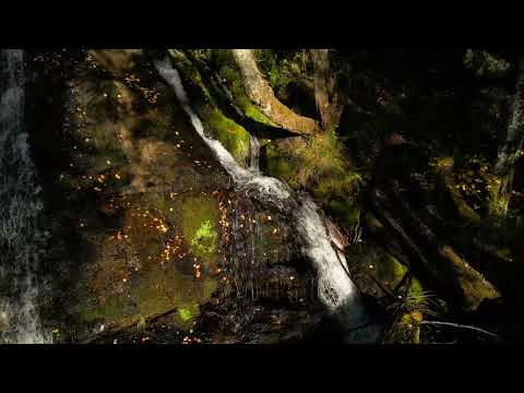 Senda de la Cascada de Vados (P. N. Lago de Sanabria y Sierras de Segundera y Porto - Zamora)