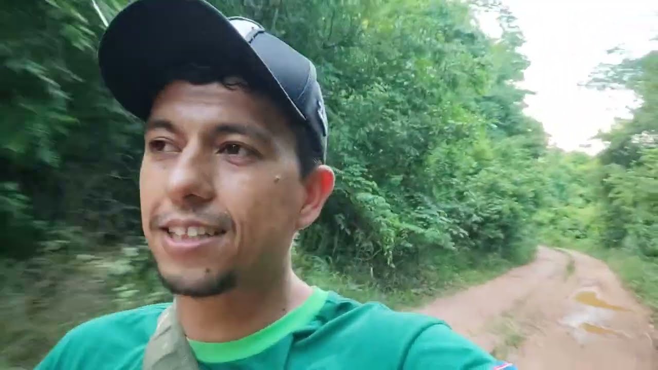 PERIGO NA MATA . os porcão colocou para ir embora.m