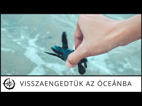 fogyás életmódbeli beavatkozás hogyan lehet eltávolítani a felesleges zsírt a mellkason