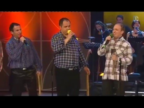 Alfi Nipič in Modrijani - Bolfenk