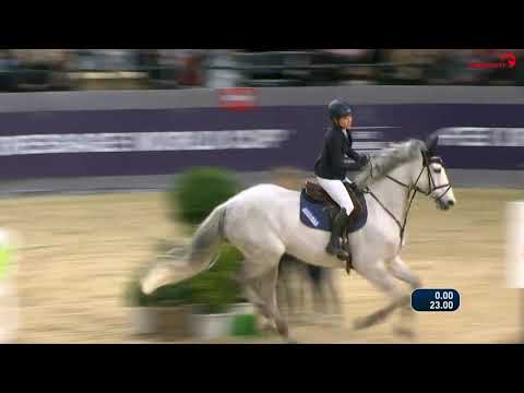 Holsteiner im Rampenlicht Carlucci (v. Calido I-Acord II)