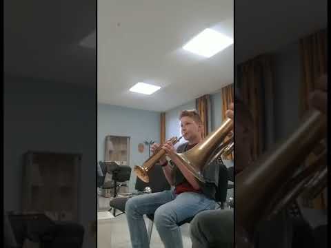 Einsendung für #ganschhornchallenge