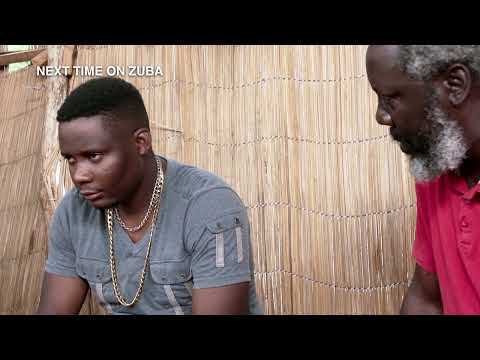 Zuba and niko talk it out -  Zuba | S 5  | Ep 148 | OneZed