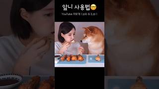 유튜브 썸네일