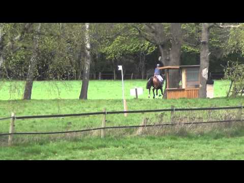 See You Later, 6-jähriger Wallach v. Serano Gold x Dorpas AA x Watzmann