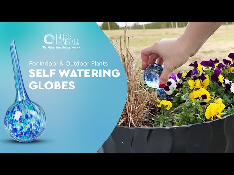 Self Watering Globes for Indoor & Outdoor Plants