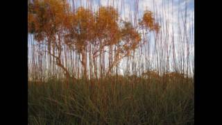 Larapinta Trail, Pt 4 - Stage 10 (Music: Michael Brook)