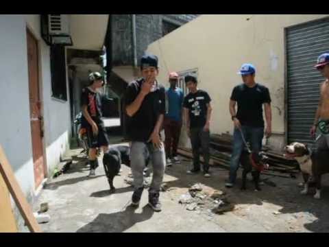 PERFORMING "CAMINANDO POR LA CALLE" 504 RECORDS