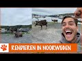 WILDE RENDIEREN SPOTTEN OP VAKANTIE!!! | DierenpraatTV