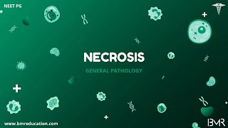 Necrosis - Types and Morphology | General pathology