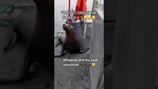 Seal jumps on boat, hilarious voiceover.