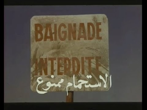 Les Moineaux d'Algérie