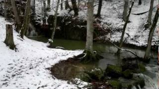 preview picture of video 'La Source de la Venoge (Le Puits) à l'Isle dans le canton de Vaud'