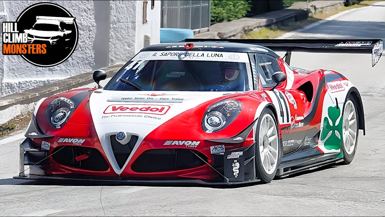 TOP 15 MONSTERS || Vallecamonica HillClimb 2024