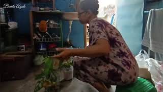 Download lagu Aktivitas di kampung, bertanam bunga sebagai hiburan, ikutin yaa...  mp3