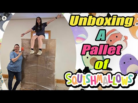 Unboxing this Entire Pallet of Hundreds of Squishmallows With Faith Check out what We got!