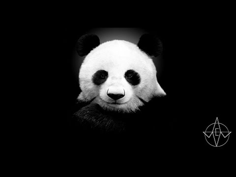 'Panda' by Desiigner (Foreign Twiinz Remix)