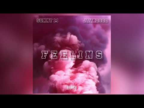 Sunny M - Feelins feat. Javn2900 (prod by. Strizzy)