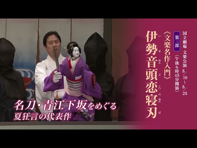 YouTube広告動画