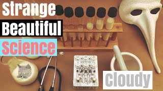 Video thumbnail for Tomkat pedals - cloudy demo by Devon Blue Whitaker (Devon Blue Whitaker music)