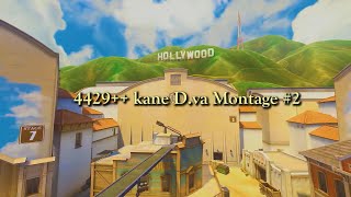 4429++ kane 디바 자탄먹방 프랙/매드무비