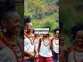 Explore The Allure Of South Africa S Zulu Reed Dance