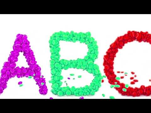 StejarEffects2004 and IvyEffects