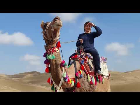 Best Lamb Biryani Recipe: How to Make the Perfect Biryani in the desert